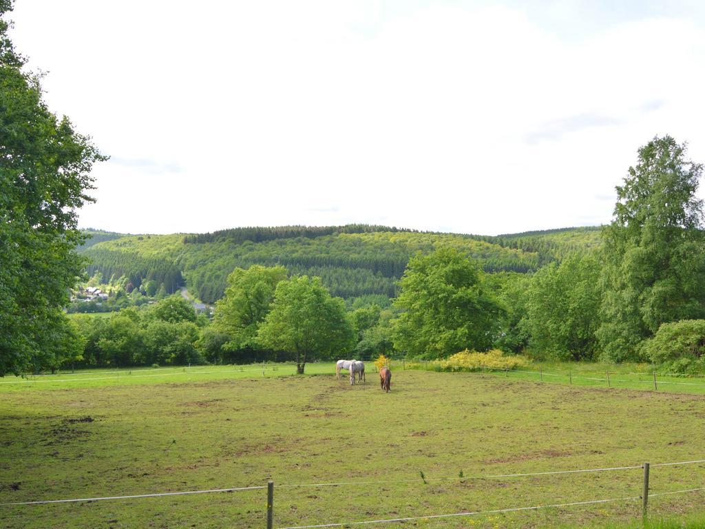 Pretty Cottage Ardennes Near The Valley Of Lesse Vencimont Exterior foto
